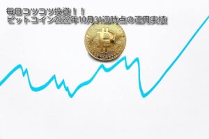 【毎日積立】ビットコイン運用実績(2022年10月31日週)